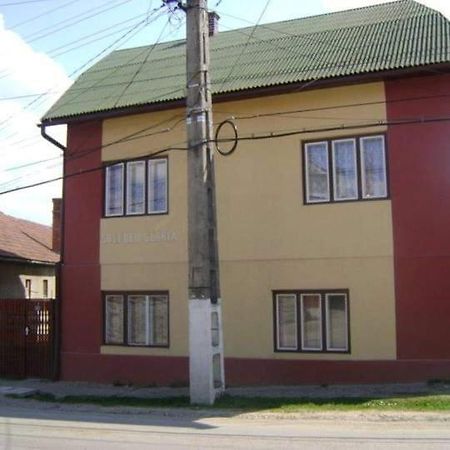 Pensiunea Shalom Sincraiu Екстер'єр фото